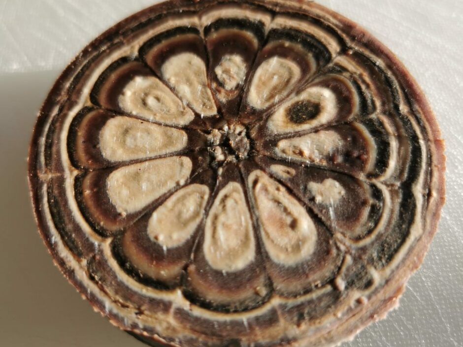 Seifenrezept Kaffee-Kaleidoskop